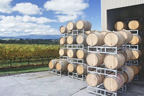 Yarra Valley Wine Tour Inc Lunch With A Glass Of Wine, Tastings And Chocolate - Perths Hotel 4