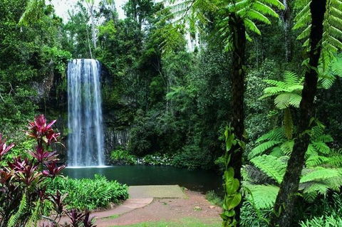 Paronella Park And Millaa Millaa Falls Full-day Tour From Cairns - Perths Hotel 3