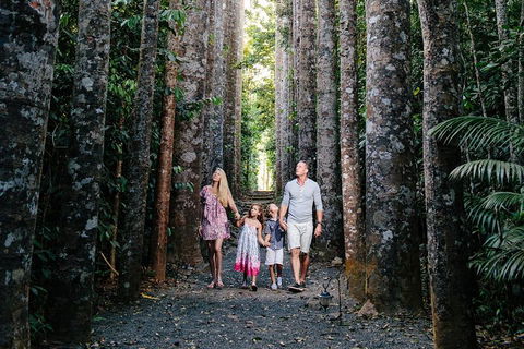 Paronella Park And Millaa Millaa Falls Full-day Tour From Cairns - Perths Hotel 5