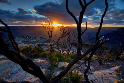 Ultimate Blue Mountains And Wildlife Tour - Perths Hotel 2