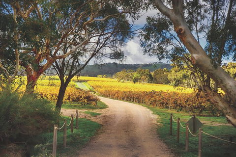 McLaren Vale Winery Small Group Tour With Wine Tasting And Lunch - Perths Hotel 1