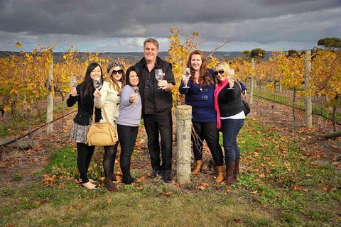 McLaren Vale Winery Small Group Tour With Wine Tasting And Lunch - Perths Hotel 3