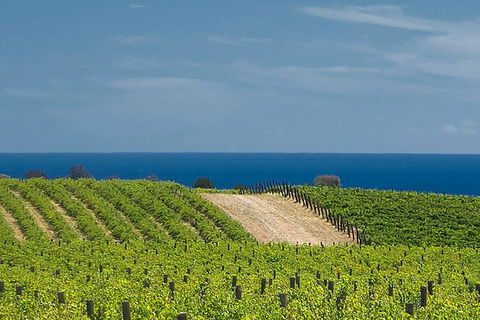 McLaren Vale Winery Small Group Tour With Wine Tasting And Lunch - Perths Hotel 4