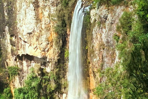 Natural Arch, Rainforest & Volcano Canyon - Private Half Day Tour - Perths Hotel 2