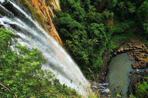 Natural Arch, Rainforest & Volcano Canyon - Private Half Day Tour - Perths Hotel 5