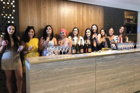 Yarra Valley Public Winery Tours - Perths Hotel 0