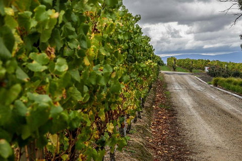 Yarra Valley Public Winery Tours - Perths Hotel 2