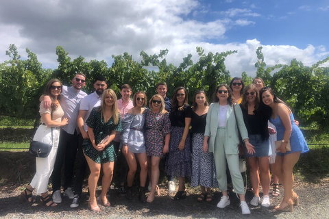 Yarra Valley Public Winery Tours - Perths Hotel 3