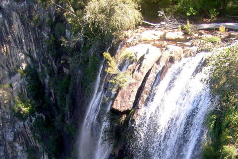 Byron Bay Combo: Hinterland Tour Including Minyon Falls And Kayaking With Dolphins - Perths Hotel 3