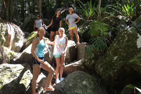 Byron Bay Combo: Hinterland Tour Including Minyon Falls And Kayaking With Dolphins - Perths Hotel 4