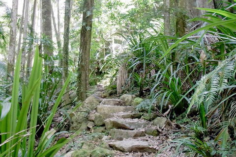 Byron Bay Combo: Hinterland Tour Including Minyon Falls And Kayaking With Dolphins - Perths Hotel 5