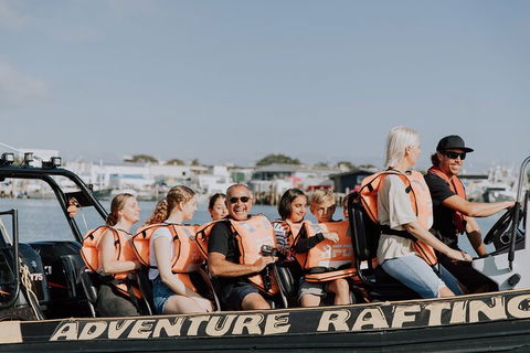 Adventure Whale Watching Tour Mooloolaba - Perths Hotel 4
