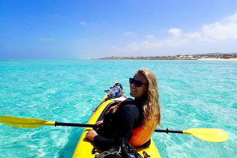 Lagoon Explorer - Ningaloo Reef Full-Day Kayaking And Snorkeling Adventure - Perths Hotel 1