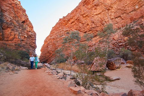 Best Of Alice Springs Full Day Tour - Perths Hotel 1