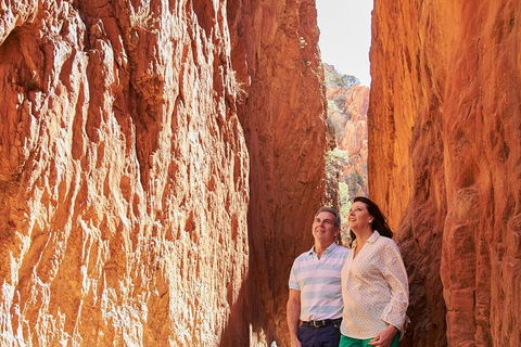 Best Of Alice Springs Full Day Tour - Perths Hotel 4