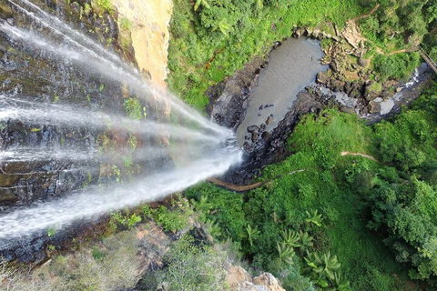 Natural Bridge & Springbrook Waterfalls Tour + Hot Air Balloon With Breakfast - Perths Hotel 1