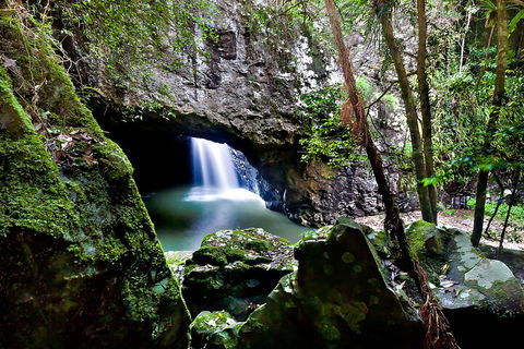 Natural Bridge & Springbrook Waterfalls Tour + Hot Air Balloon With Breakfast - Perths Hotel 4