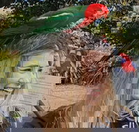 Lamington National Park O'Reilly's  Vineyard Tour - Perths Hotel