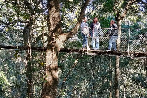 Lamington National Park, O'Reilly's & Vineyard Tour - Perths Hotel 2