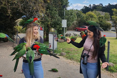 Lamington National Park, O'Reilly's & Vineyard Tour - Perths Hotel 5