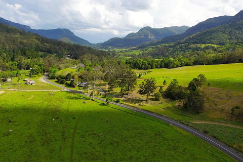 Natural Bridge & Springbrook Waterfalls Tour - Perths Hotel 2