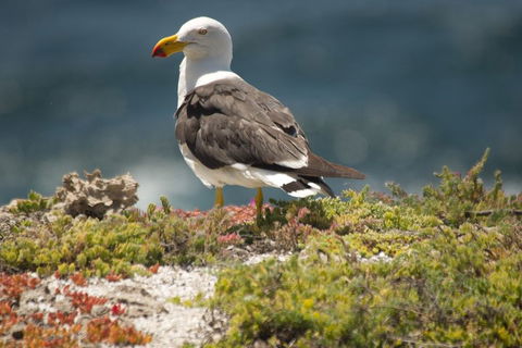 From The Mountains To The Bay - 4 Day Rediscovery Small Group Tour - Perths Hotel 1