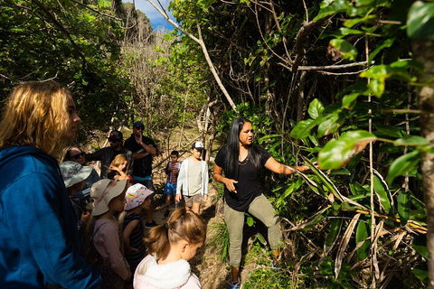 Cape Byron Aboriginal Tour - Perths Hotel 4