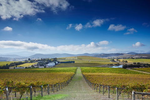 Yarra Valley Wine And Wildlife Self-Driving Tour - Perths Hotel 1