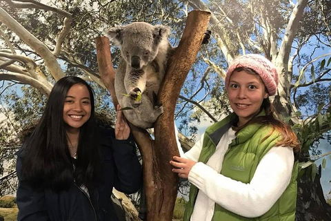 Australia Multi-City Attractions Pass - Perths Hotel 3