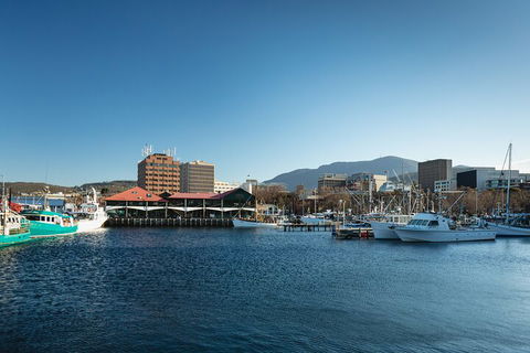 Hobart City Sightseeing Tour Including MONA Admission - Perths Hotel 0