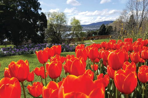 Hobart City Sightseeing Tour Including MONA Admission - Perths Hotel 4