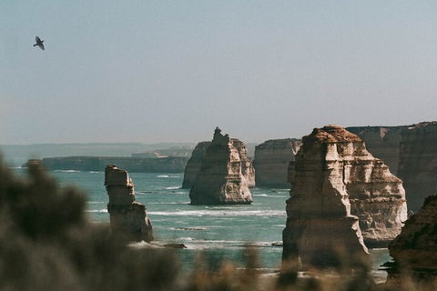 Half-Day Or Full-Day Tour With Private Guide From Melbourne - Perths Hotel 0