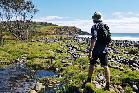 Half Day Guided Small Group Walk - Perths Hotel 0