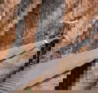 Chillagoe Caves and Outback Day Trip from Cairns - Perths Hotel