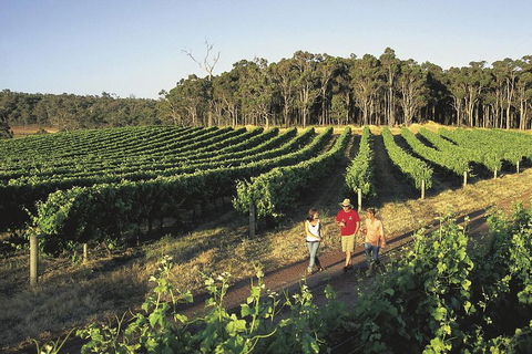 Margaret River, Caves, Wine And Cape Leeuwin Lighthouse Tour From Perth - Perths Hotel 1