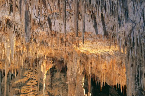Margaret River, Caves, Wine And Cape Leeuwin Lighthouse Tour From Perth - Perths Hotel 3