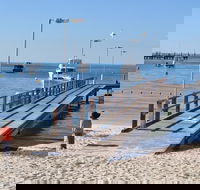 Monkey Mia Dolphins  Shark Bay Air Tour From Perth - Perths Hotel