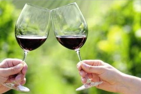Yarra Valley Premium Tour Inc Lunch And Cheese And Wine Pairing At De Bortoli - Perths Hotel 5