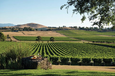 Yarra Valley Premium Tour Inc Lunch And Cheese, Chocolate Fondue At Rochford - Perths Hotel 1