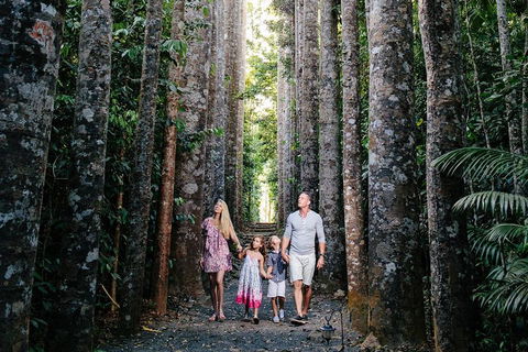 The Original Day Tour To Paronella Park, Lake Barrine And Millaa Millaa Falls - Perths Hotel 1