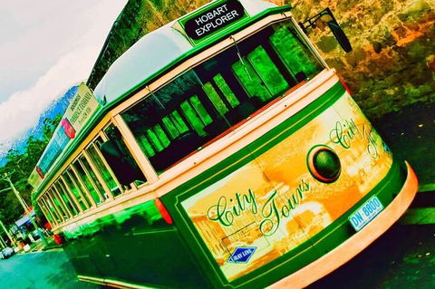 Hobart Half-Day Sightseeing Coach Tram Tour - Perths Hotel 5