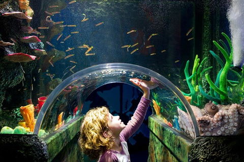 Melbourne BIG Ticket - LEGOLAND Discovery And SEA LIFE Melbourne - Perths Hotel 2
