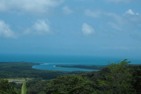 Cape Tribulation, Daintree Rainforest And Wildlife Tour - Perths Hotel 1