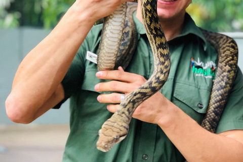 Virtual Interactive Australian Wildlife Tour With Private Guide-Wildlife Habitat - Perths Hotel 1