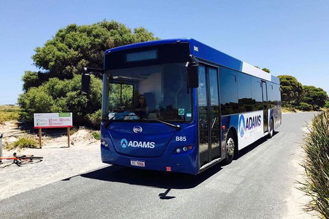 Rottnest Bayseeker Bus Tour From Hillarys Boat Harbour - Perths Hotel 0