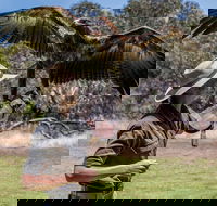 One Day Kangaroo Island Sip  See tour with return ferry transfers from Adelaide - Perths Hotel