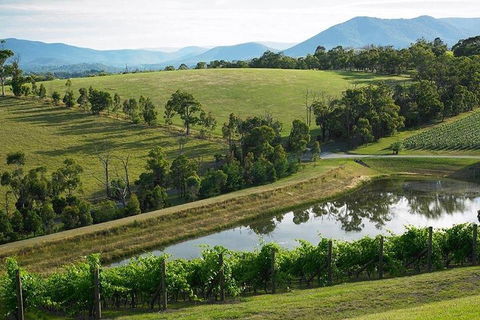 Yarra Valley Wine And Cider Tours By Classic Convertibles From Melbourne - Perths Hotel 1
