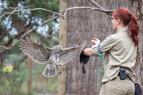 Moonlit Sanctuary Wildlife Conservation Park Daytime General Entry Ticket - Perths Hotel 1