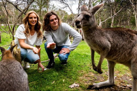 Moonlit Sanctuary Wildlife Conservation Park Daytime General Entry Ticket - Perths Hotel 2