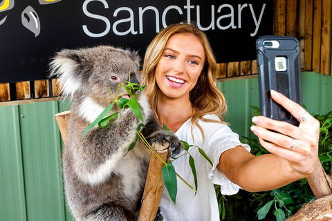 Moonlit Sanctuary Wildlife Conservation Park Daytime General Entry Ticket - Perths Hotel 4